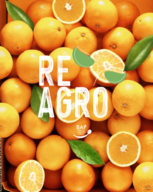REAGRO: rescate de cítricos directo del campo